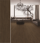 NC006 - NATUTRAL WALNUT DARK - EN