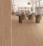 NT009 - GRAND YELLOW OAK - EN